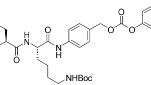 The chemical structure of nitric oxide.