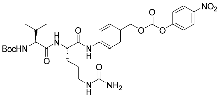 A chemical structure of boswellic acid.