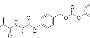 A chemical structure of a molecule of phenylethylamine.