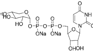 A diagram of the structure of a chemical compound.