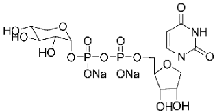 A diagram of the structure of a chemical compound.