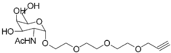 A diagram showing the structure of a molecule.