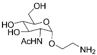 The chemical structure of acetylcholine.