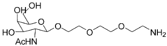 A diagram of the structure of a molecule.