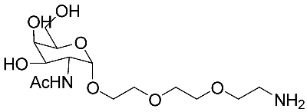 A diagram showing the structure of a molecule.