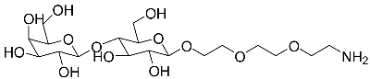 A diagram showing the structure of a molecule.