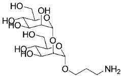 A diagram showing the structure of a molecule.