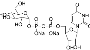 A diagram of the structure of a chemical compound.