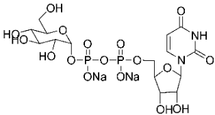 A diagram of the structure of a chemical compound.