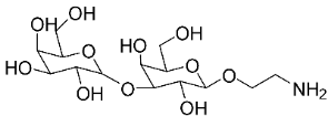 A diagram of the structure of a molecule.