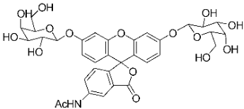 A diagram of the structure of a molecule.