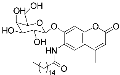 A diagram of the structure of a molecule.