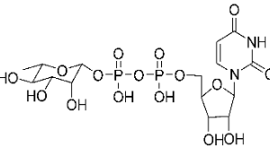 A diagram of the structure of a chemical compound.