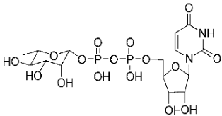 A diagram of the structure of a chemical compound.