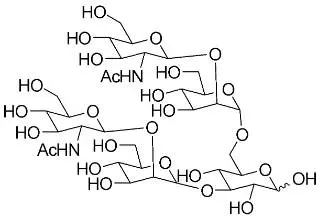 A diagram showing the structure of a molecule.