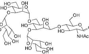 A diagram showing the structure of a chemical compound.
